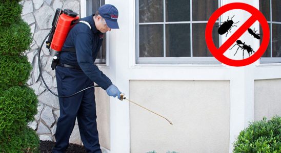 Lice Akrep İlaçlama böcek ilaçlama ve haşere kontrolü — ilaclama-tr.com